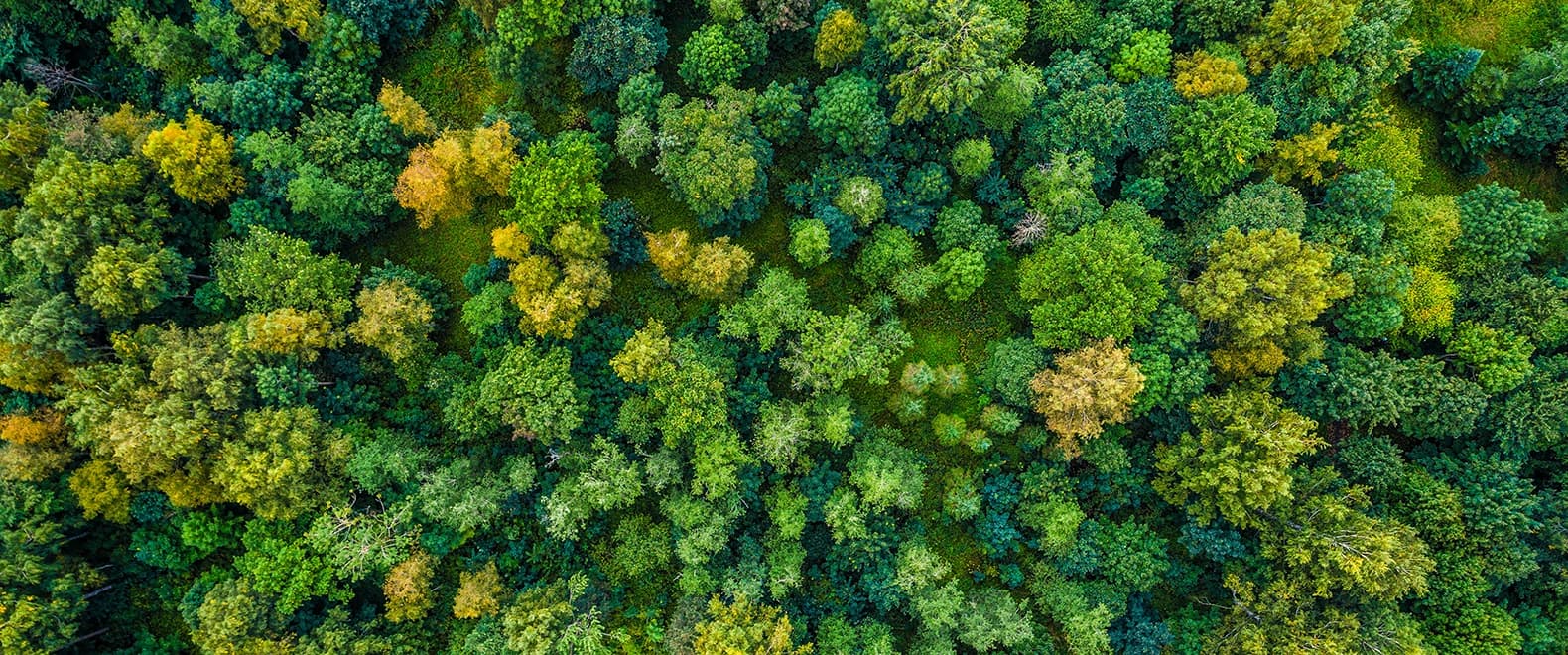 Bannière pour la page Politique ,[object Object]