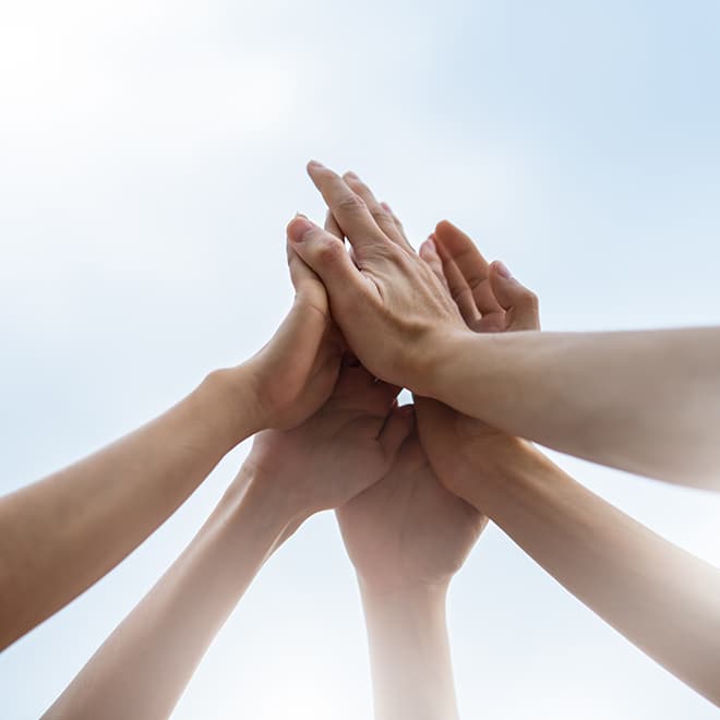 Illustration de la page